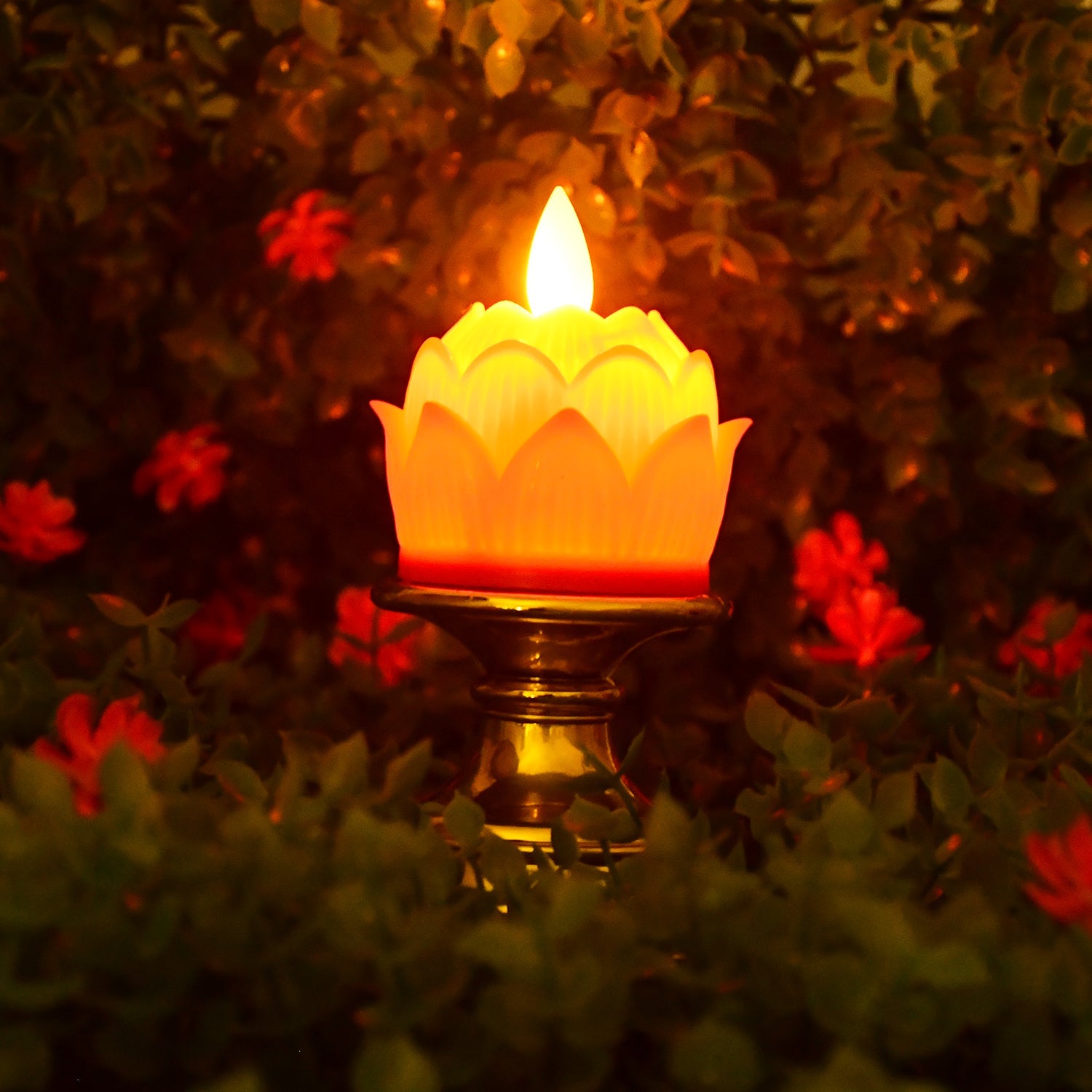 Decorative Light Decorative Light
